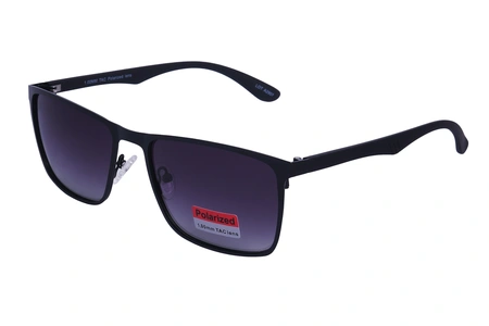 polarview, PV 500, meestele, nurgeline, polariseeritud, metall